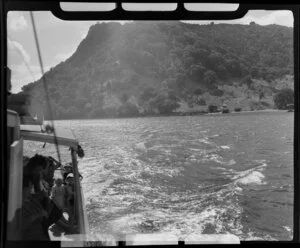 Passenger boat passing land around Whangarei Habour, Northland