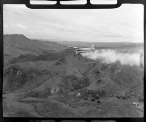 De Havilland Beaver aeroplane spraying fertilizer at Raetihi, Ruapehu district