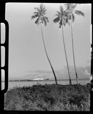 Apia waterfront, Upolu, Samoa, showing tall palm trees and the ship Tofua out at sea