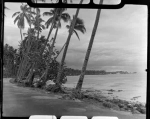Road at Faleolo, Apia, Upolu, Samoa, showing palm trees