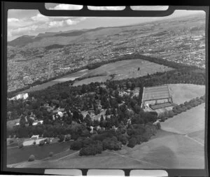 Hagley Park, Christchurch