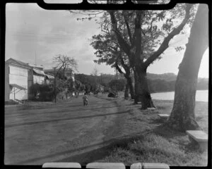 Road scene, Papeete, Tahiti, showing man on bicycle, buildings and trees
