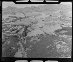 Forested area and golf links, Hanmer Springs, Canterbury