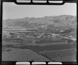 Forested area around township, Hanmer Springs, Canterbury