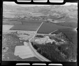 Forested area around township, Hanmer Springs, Canterbury