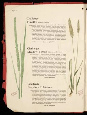 [Wright Stephenson & Company Ltd] :Challenge timothy (phleum pratense); Challenge meadow foxtail (alopecurus pratensis); Challenge paspalum dilatatum [1924]