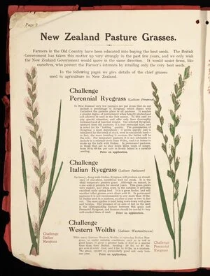 [Wright Stephenson & Company Ltd] :New Zealand pasture grasses; Challenge perennial ryegrass; Challenge Italian ryegrass; Challenge Western wolths [1924]