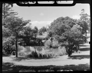 Auckland Domain, showing plants, trees and a pond