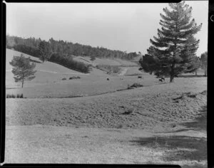 Maxwell subdivision, Mairangi Bay, North Shore, Auckland