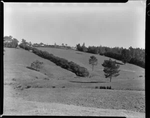 Maxwell subdivision, Mairangi Bay, North Shore, Auckland