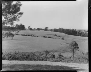 Maxwell subdivision, Mairangi Bay, North Shore, Auckland