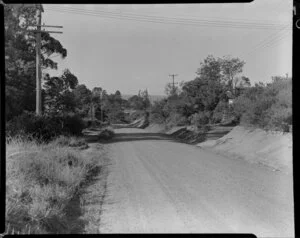 Maxwell subdivision, Mairangi Bay, North Shore, Auckland, showing road