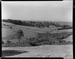 Maxwell subdivision, Mairangi Bay, North Shore, Auckland