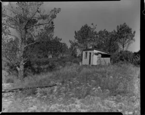 Maxwell subdivision, Mairangi Bay, North Shore, Auckland, showing small shed