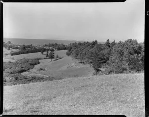 Maxwell subdivision, Mairangi Bay, North Shore, Auckland