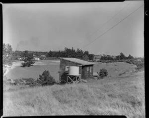 Maxwell subdivision, Mairangi Bay, North Shore, Auckland, showing small shed with water container