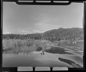 Gillespies Beach lagoon, South Westland, showing swamp area