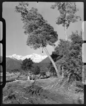 Mount Cook from Saltwater, Fox Glacier, West Coast Region, showing car and tree on a lean held by ropes