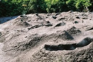 Mud volcanoes, Whakarewarewa