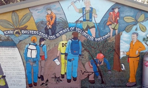 Mural, Matiu/Somes Island