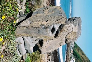 Greywacke sculpture