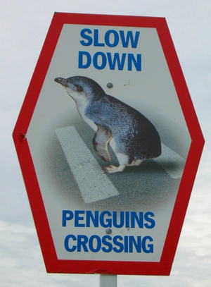 Penguins Crossing sign