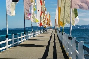 Flags at Point Howard
