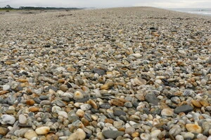 Beach near mouth of Haast River