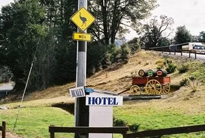 Bealy hotel signs