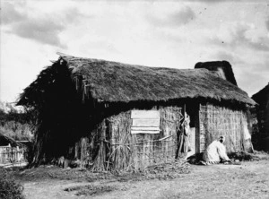 Raupo dwelling at Wairau Pa