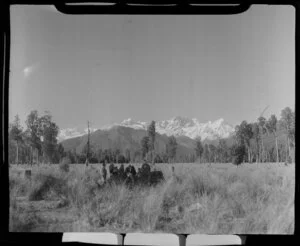 Fox Glacier district, West Coast Region, looking towards Aoraki/Mount Cook and Mount Tasman, including school children and teacher