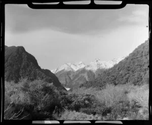 Scene with foliage and snow covered mountains, Fox Glacier area, West Coast Region