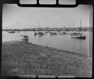 Yachts at Westhaven, Auckland