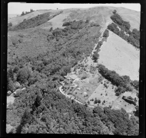 Waiheke Island, Auckland, showing houses and bush area