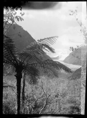 Fox Glacier, West Coast Region, from track