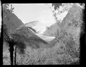 Fox Glacier, West Coast Region, from track