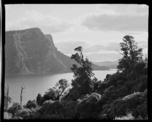 Lake Waikaremoana, Wairoa District, showing native bush and cliffs in the distance