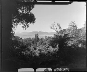 Lake Brunner, West Coast Region