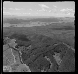 Carter Consolidated, Maramarua, Waikato