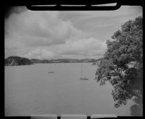 Paihia, Northland, showing boats