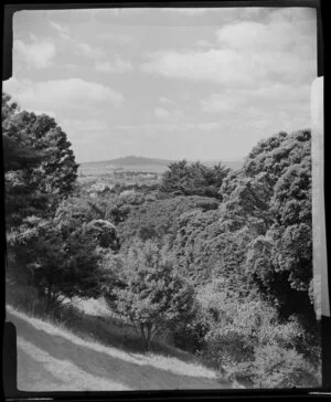 Mount Eden, Auckland, showing Rangitoto Island from slopes