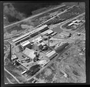 New Zealand Forest Products Ltd, Kinleith, South Waikato