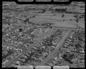 Aerial over Mount Albert suburb showing houses and Gladstone primary school, Auckland