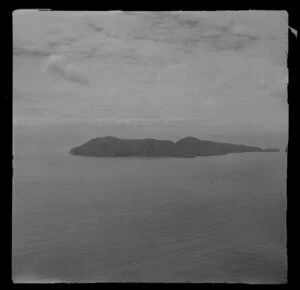 Mayor Island, Whangamata Harbour