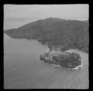 Mayor Island, Whangamata Harbour