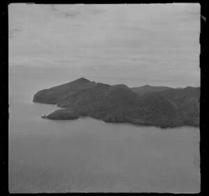 Mayor Island, Whangamata Harbour