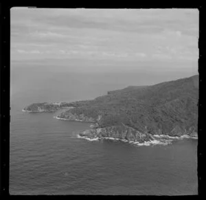 Mayor Island, Whangamata Harbour