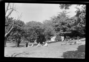 Albert Park, Auckland, showing groups of people sitting on grass area surrounded by native trees