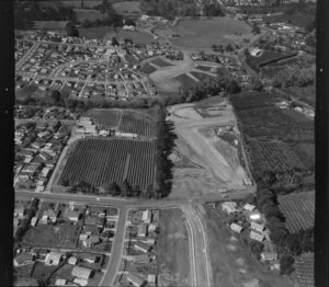 New Zealand Housing Corporation land development at Henderson, Auckland