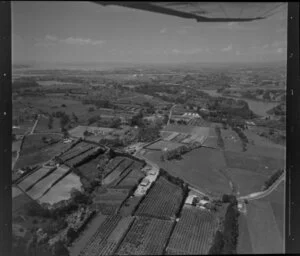 Riverhead, Rodney District, Auckland